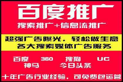 SEM公司成功案例分享：搜索引擎优化的力量